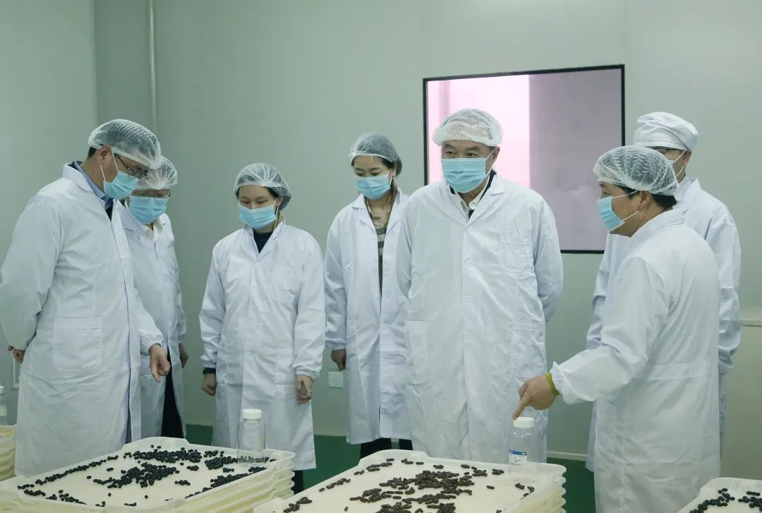 fh至尊(中国)官方网站