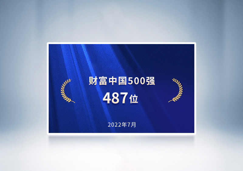 2022财产中国500强——pg电子487位