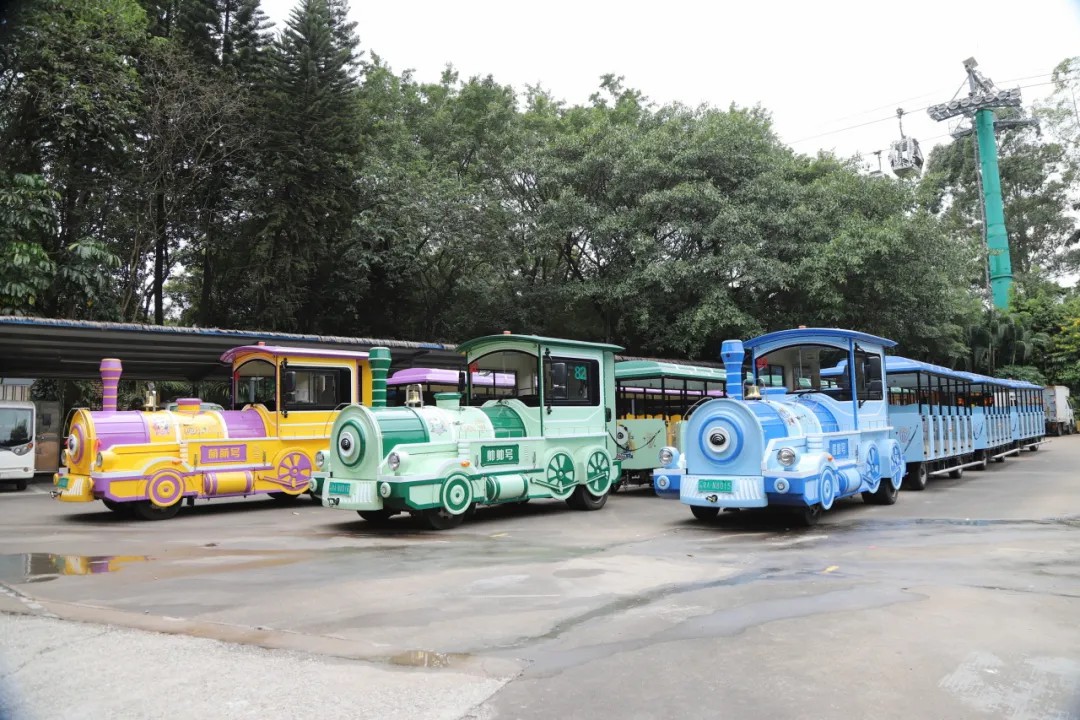 4万公里 ，100%出勤率！！！pg电子旅行车助力长隆打造陶醉式生态之旅